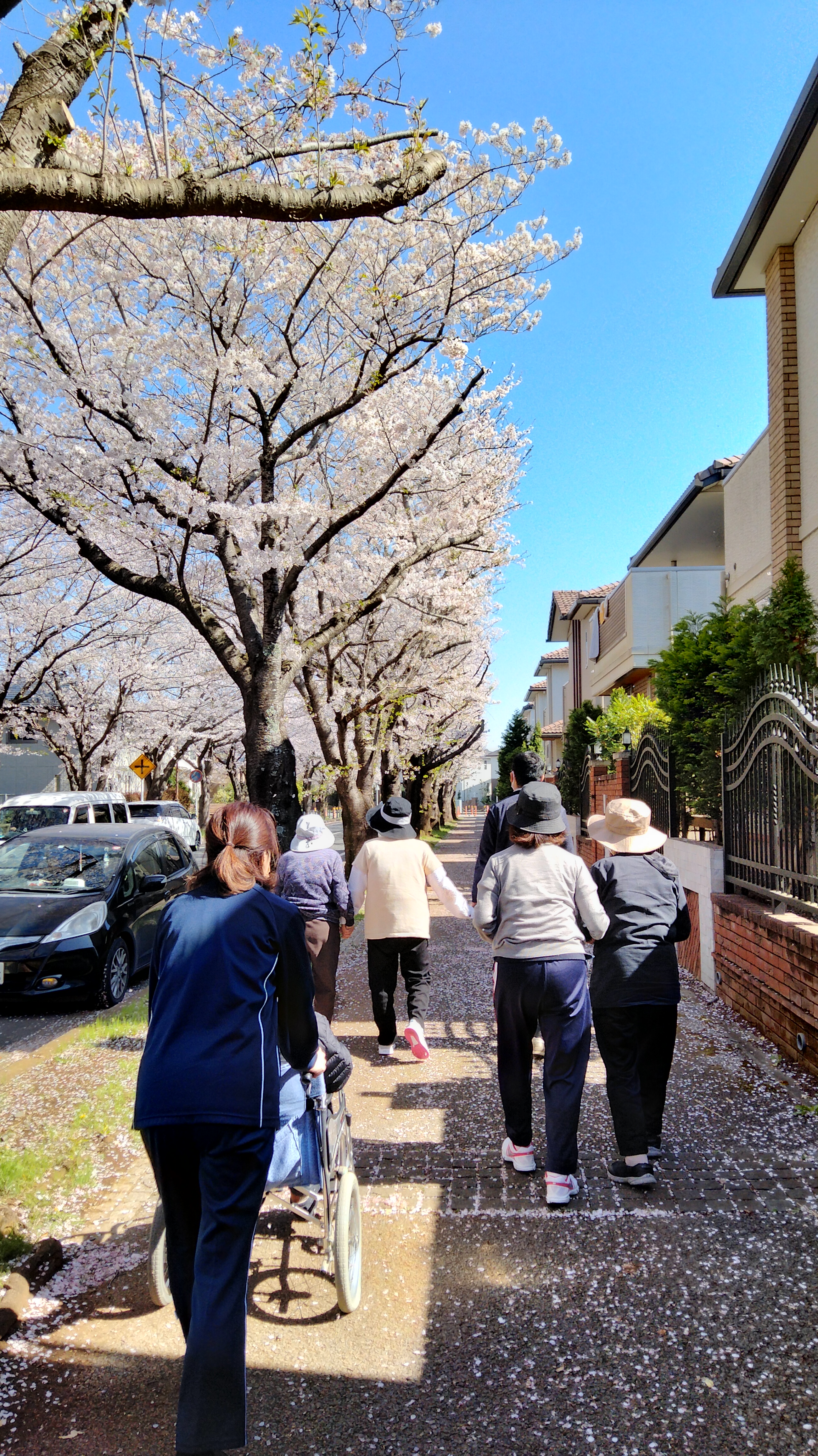 お花見