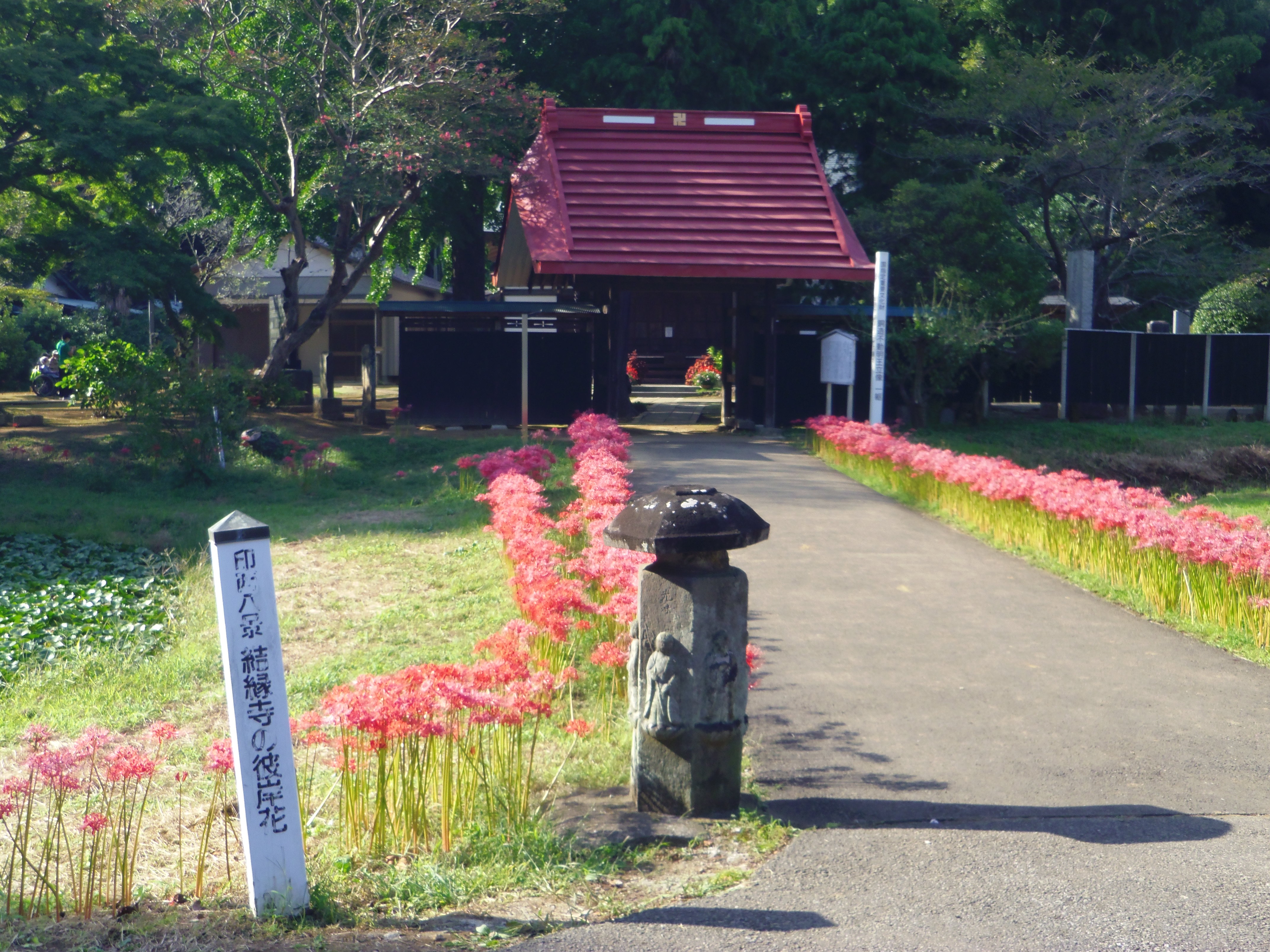 最近のご様子