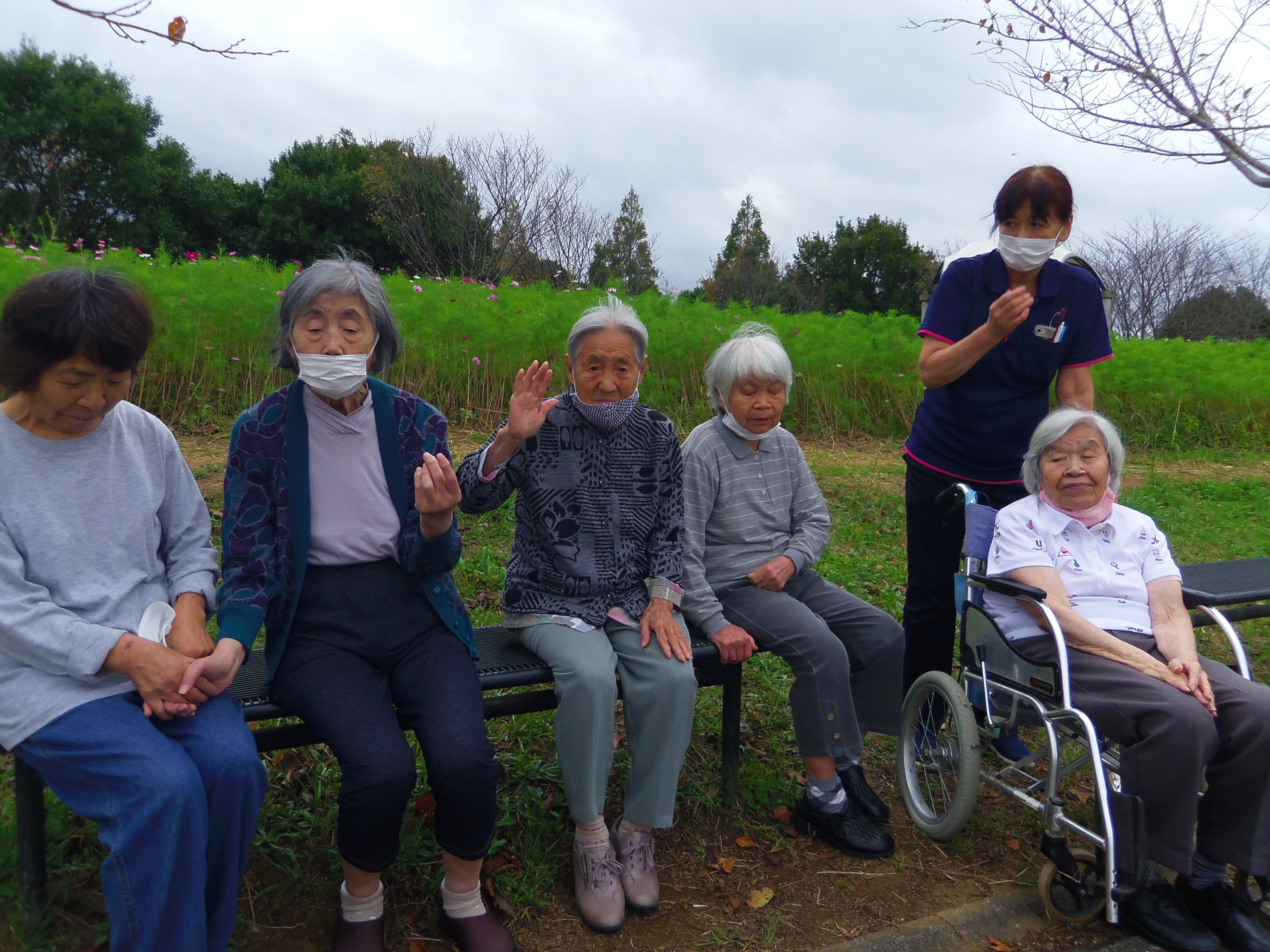 印西市の花?