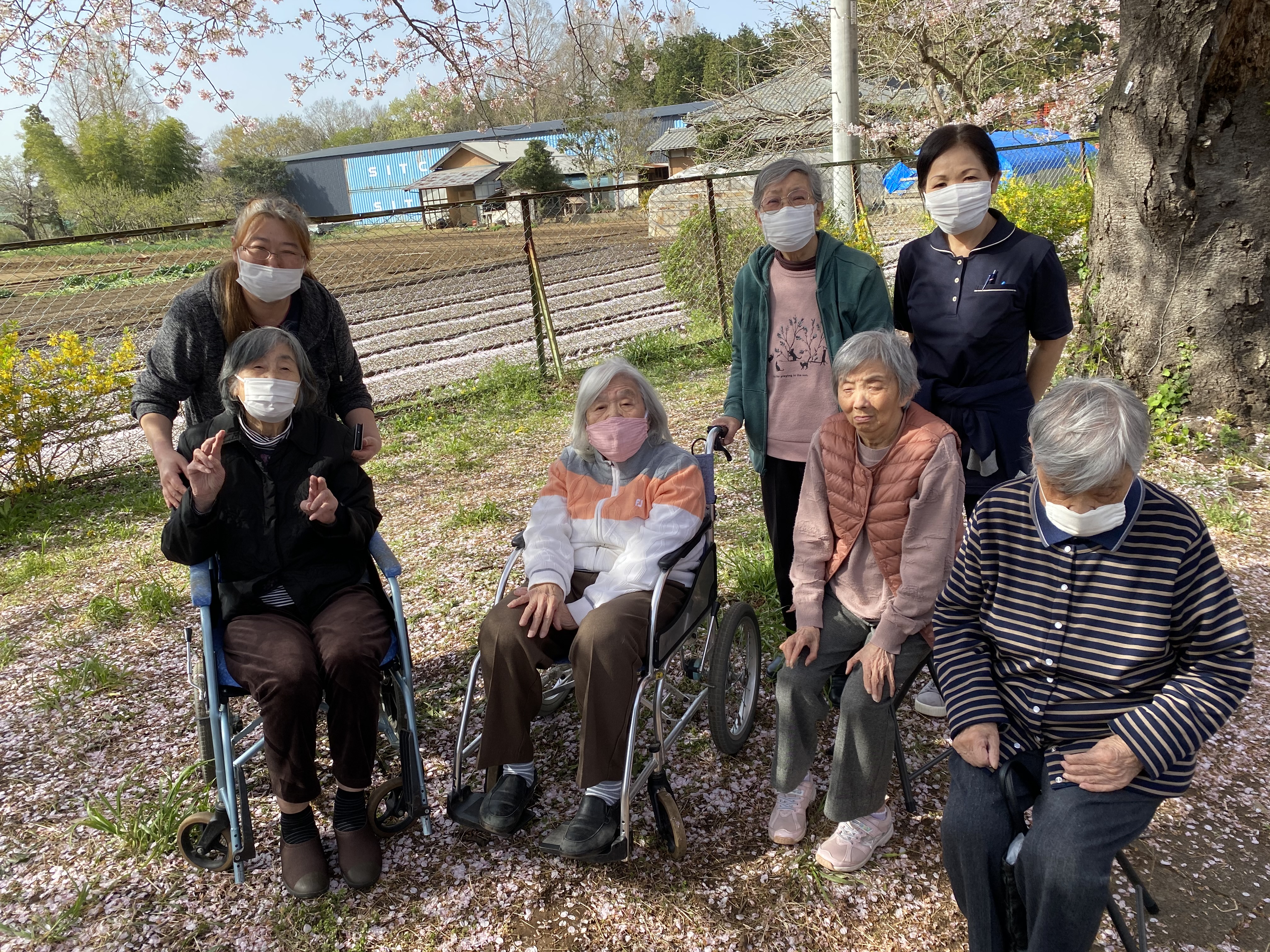 ♪お花見♪