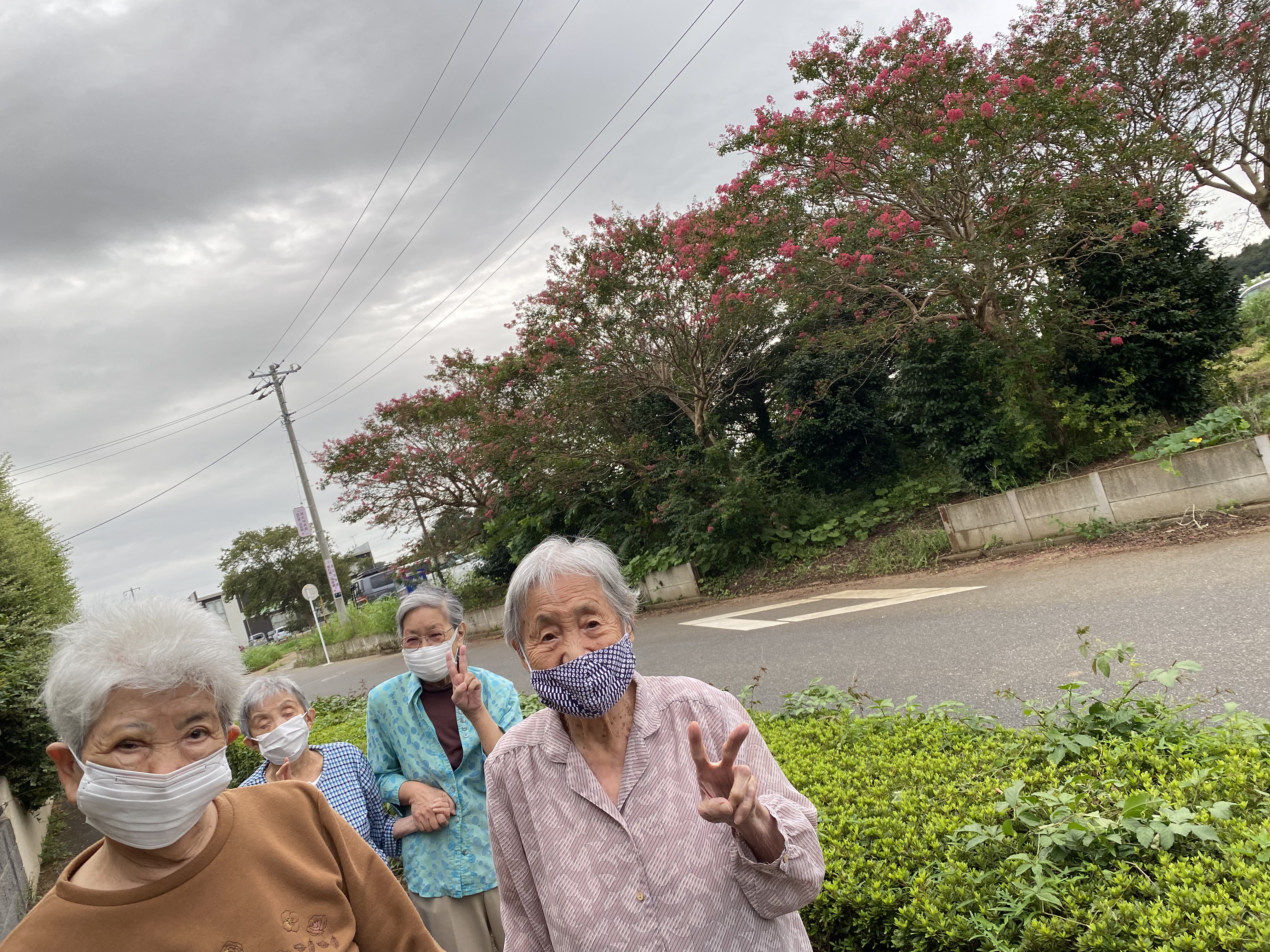 季節の花