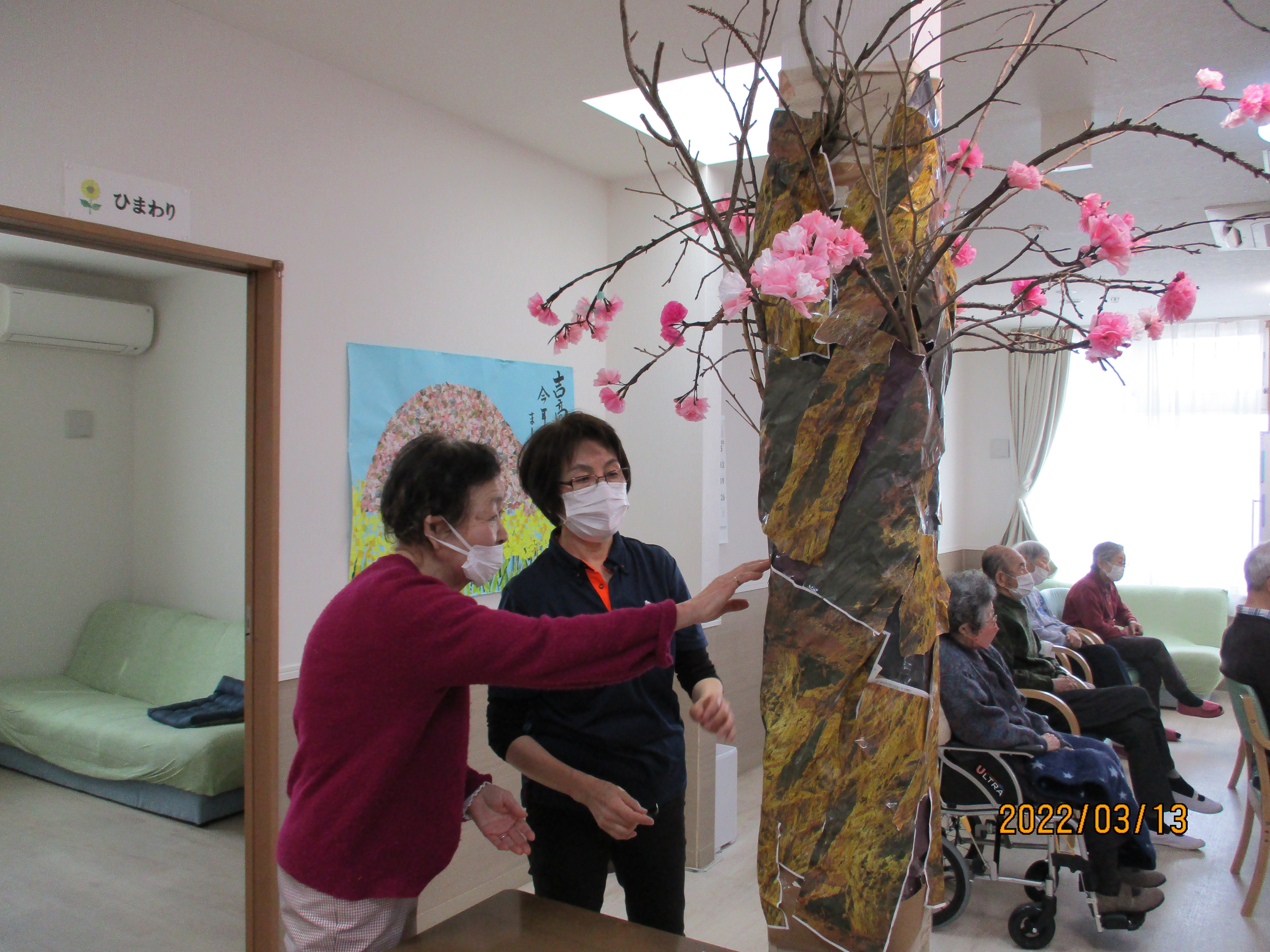 八重桜が満開になりました