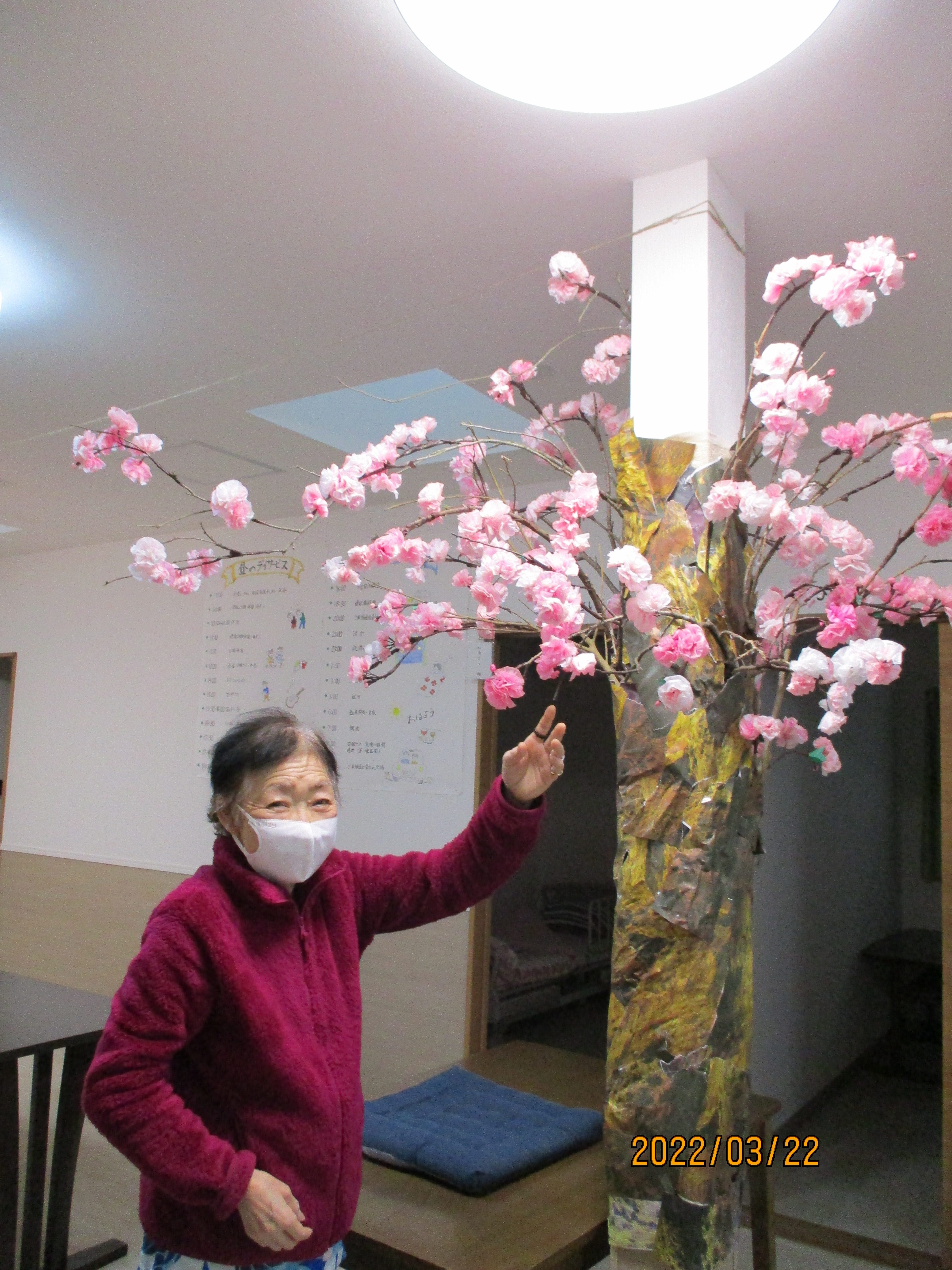 デイの桜が満開